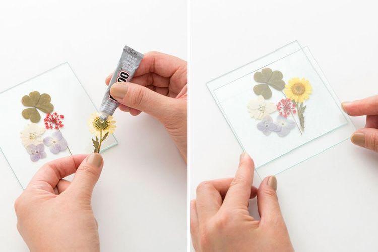 How to press flowers