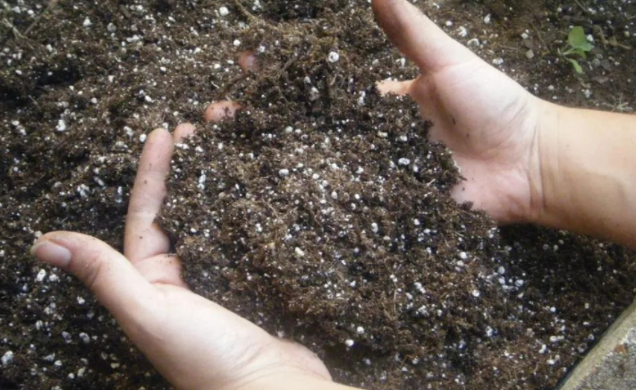 What to do if the soil is not fertile