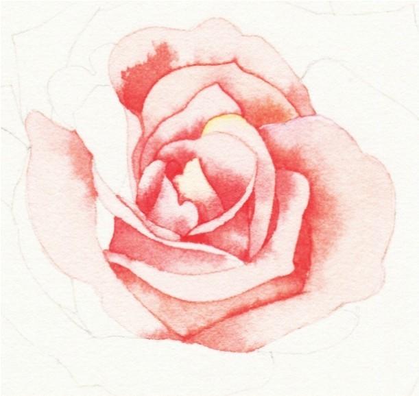 How to paint roses with watercolor