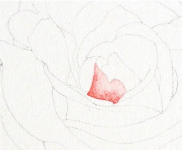 How to paint roses with watercolor