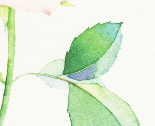 How to paint roses with watercolor