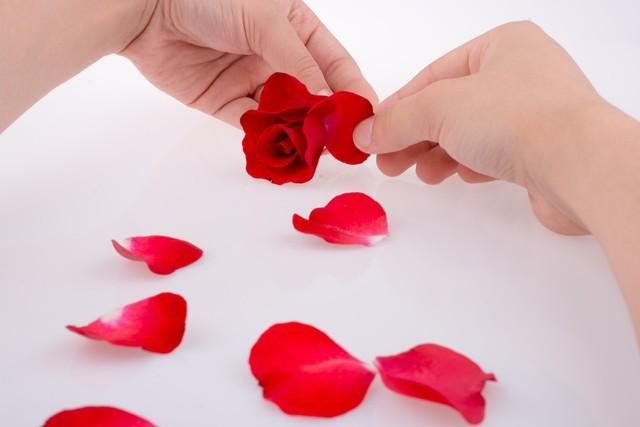 How to preserve roses