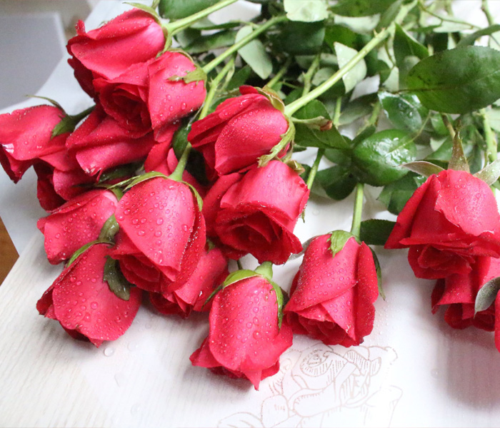 Do roses like acidic or alkaline soil