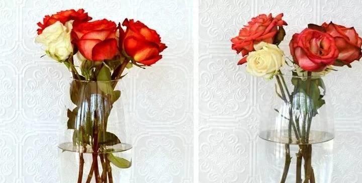 How long do roses last in a vase