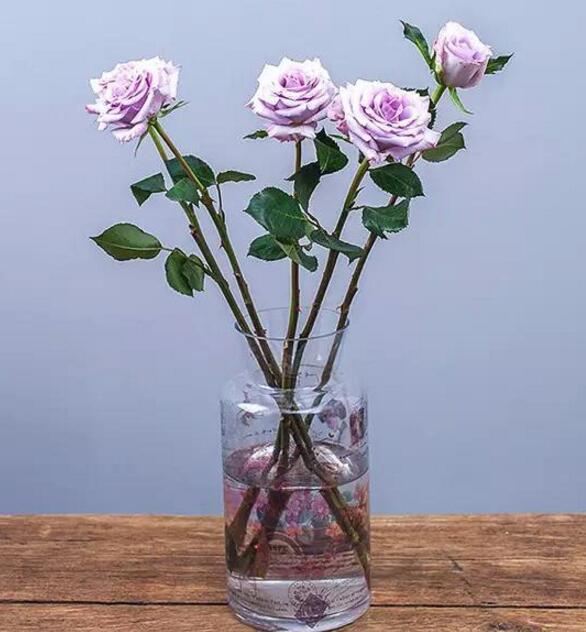 How to root roses from a bouquet in water