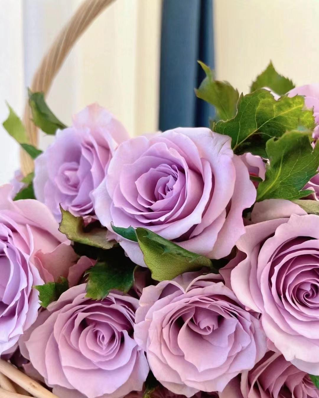 What do purple roses mean