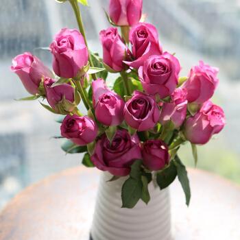 How to arrange roses in a vase