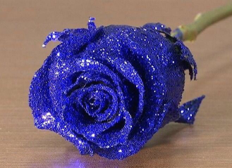 How to dye roses blue