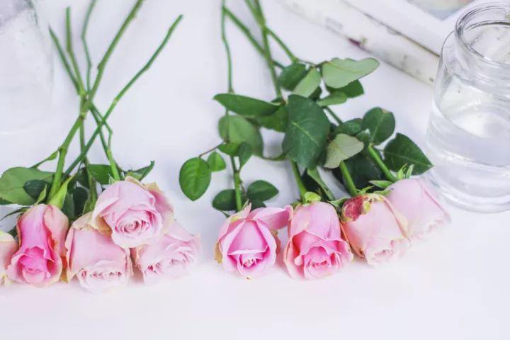 How to arrange roses in vase