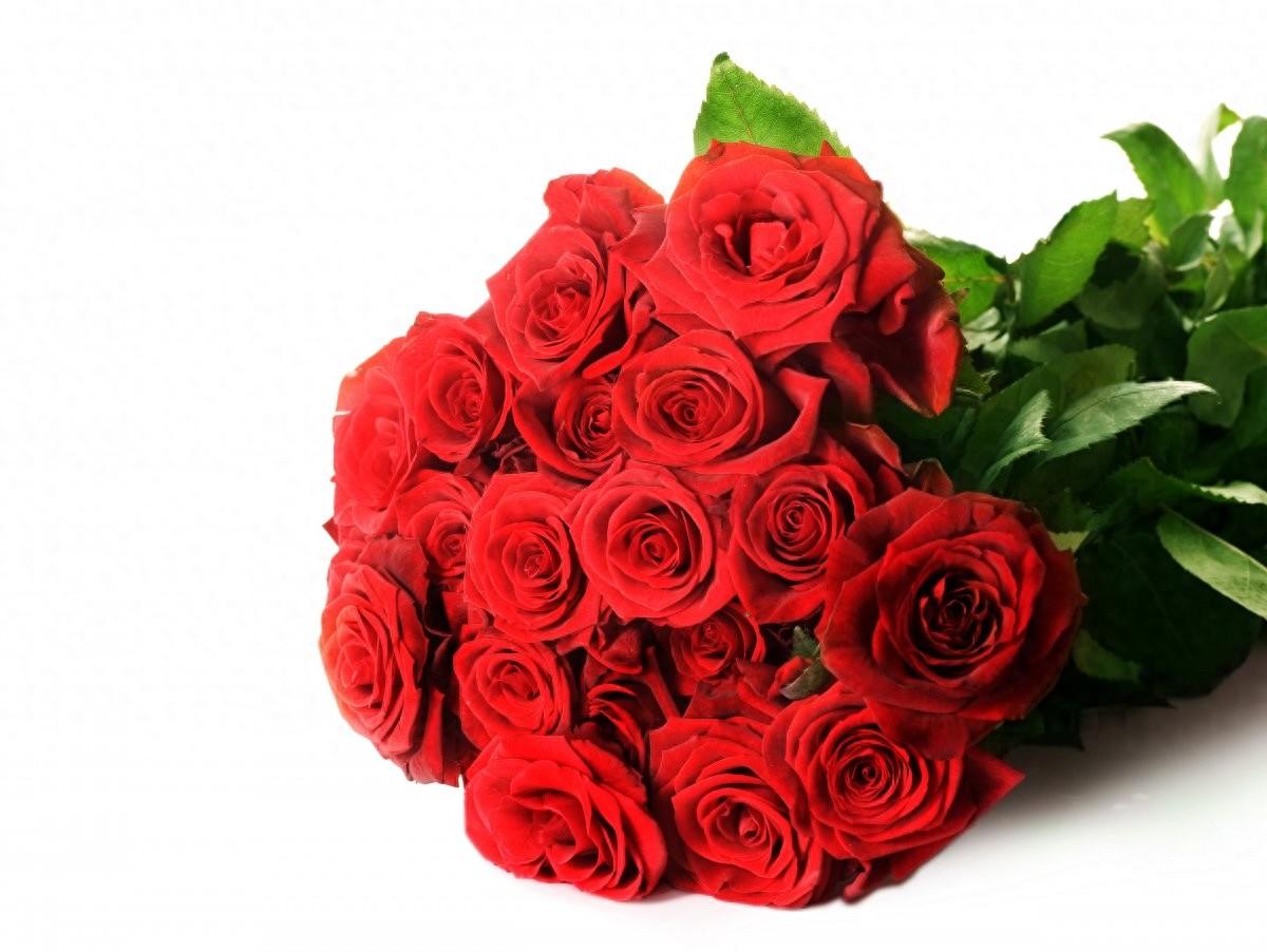 What is the meaning of red roses