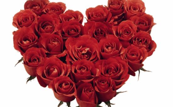 What is the meaning of red roses