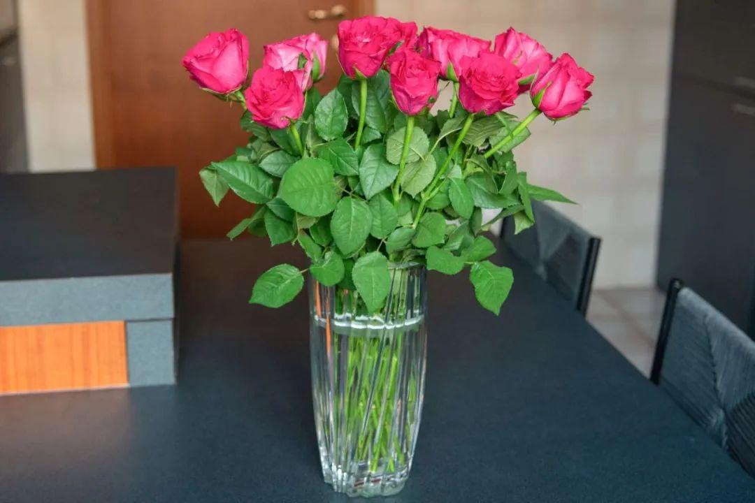 Can roses be grown indoors