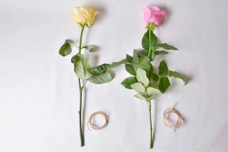 How to dry roses quickly