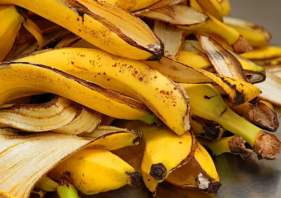 Are banana peels good for roses